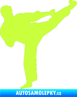 Samolepka Karate 008 pravá limetová