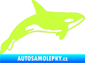 Samolepka Kosatka 001 pravá limetová