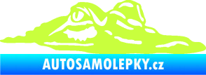 Samolepka Krokodýl 003 pravá hlava na hladině limetová