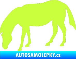 Samolepka Kůň 006 levá na pastvě limetová