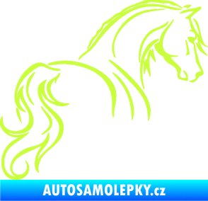 Samolepka Kůň 104 pravá limetová
