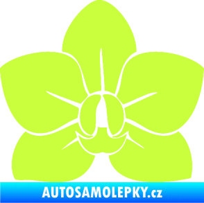 Samolepka Květina dekor 023 orchidej květ limetová