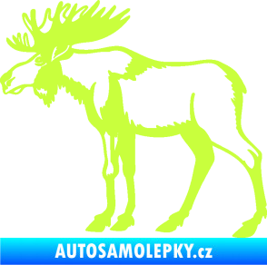 Samolepka Los 005 levá limetová