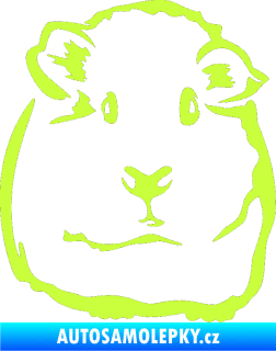 Samolepka Morče 001 pravá limetová