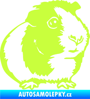 Samolepka Morče 003 pravá limetová