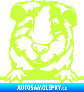 Samolepka Morče 004 levá limetová