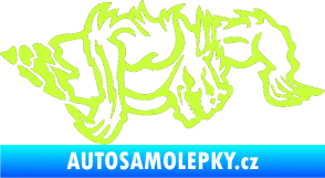 Samolepka Ostnatej pravá limetová