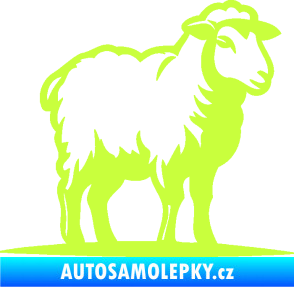 Samolepka Ovce 002 pravá limetová