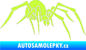 Samolepka Pavouk 002 - pravá limetová