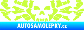 Samolepka Pavouk 017 smrťák limetová
