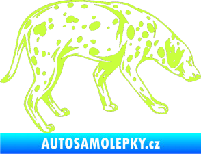 Samolepka Pes 001 pravá Dalmatin limetová