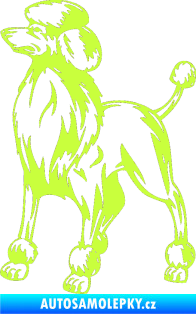 Samolepka Pes 014 levá Pudl limetová