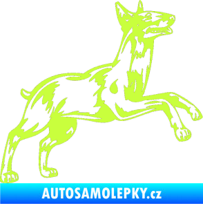 Samolepka Pes 015 pravá Bulteriér limetová
