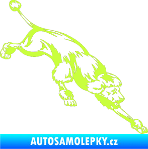 Samolepka Pes 022 pravá Pudl limetová