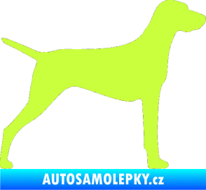 Samolepka Pes 052 pravá Ohař limetová