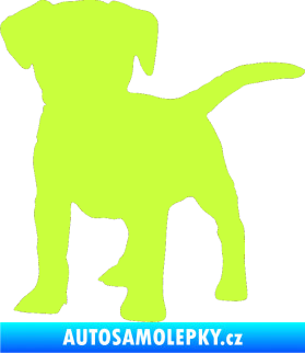 Samolepka Pes 056 levá štěně limetová