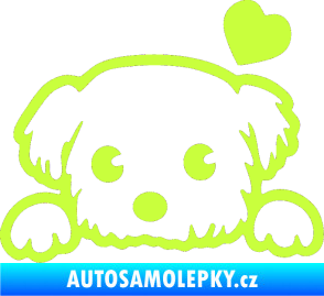 Samolepka Pes 057 pravá se srdíčkem limetová