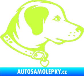 Samolepka Pes 058 pravá limetová