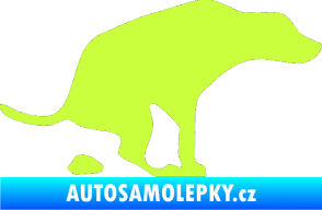 Samolepka Pes 077 pravá limetová