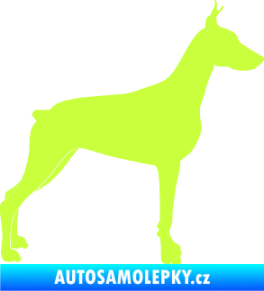 Samolepka Pes 088 pravá Dobrman limetová