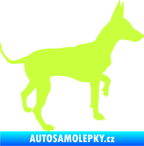 Samolepka Pes 093 pravá Pražský krysařík limetová