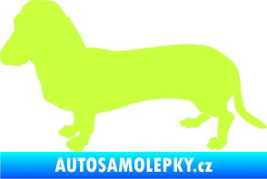 Samolepka Pes 094 levá Baset limetová