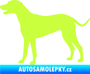 Samolepka Pes 095 levá Dalmatin limetová
