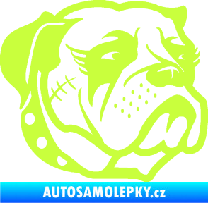 Samolepka Pes 097 pravá Buldok limetová