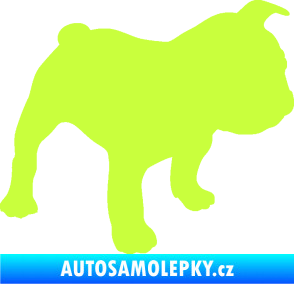 Samolepka Pes 108 pravá Francouzský buldoček limetová