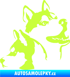 Samolepka Pes 117 pravá husky limetová