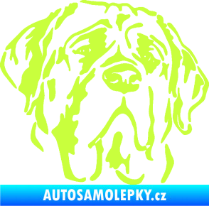 Samolepka Pes 125 pravá anglický mastif limetová