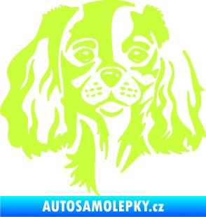 Samolepka Pes 132 levá Cavalier king Charles spaniel limetová