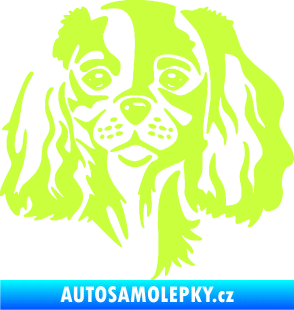 Samolepka Pes 132 pravá Cavalier king Charles spaniel limetová