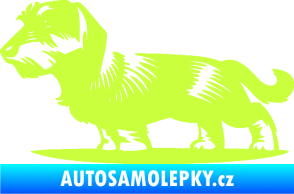 Samolepka Pes 133 levá drsnosrstý jezevčík limetová