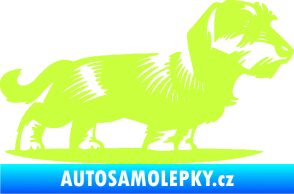 Samolepka Pes 133 pravá drsnosrstý jezevčík limetová