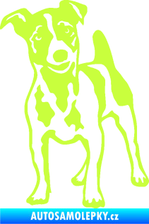 Samolepka Pes 144 levá Jack Russel terier limetová