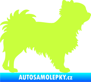 Samolepka Pes 156 pravá čivava limetová