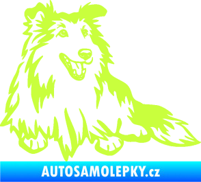 Samolepka Pes 162 pravá sheltie limetová