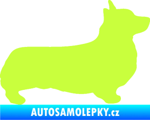 Samolepka Pes 164 pravá Welsh Corgi Pembroke limetová