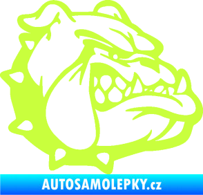 Samolepka Pes 174 pravá rozzuřený buldok limetová