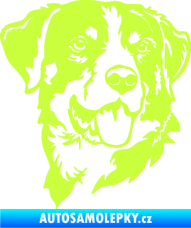 Samolepka Pes 197 pravá Appenzellský salašnický pes limetová