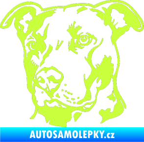 Samolepka Pes 198 pitbull levá limetová