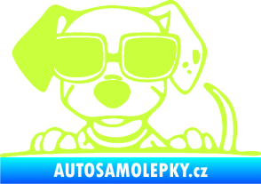 Samolepka Pes s brýlemi 101 levá v autě limetová