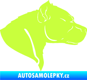 Samolepka Pitbull 004 pravá limetová