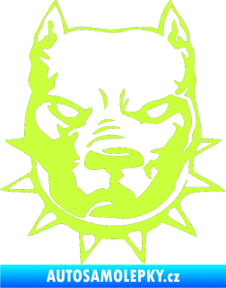 Samolepka Pitbull hlava 002 pravá limetová