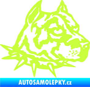 Samolepka Pitbull hlava 006 pravá limetová