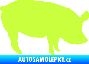 Samolepka Prase 001 pravá limetová