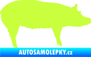 Samolepka Prase 002 pravá limetová