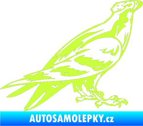 Samolepka Predators 006 pravá limetová