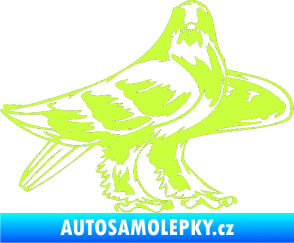 Samolepka Predators 047 pravá limetová